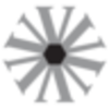 VGI